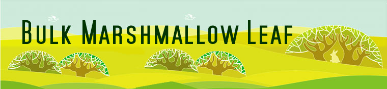 Wholesale Marshmallow herb from American Bulk Herbs